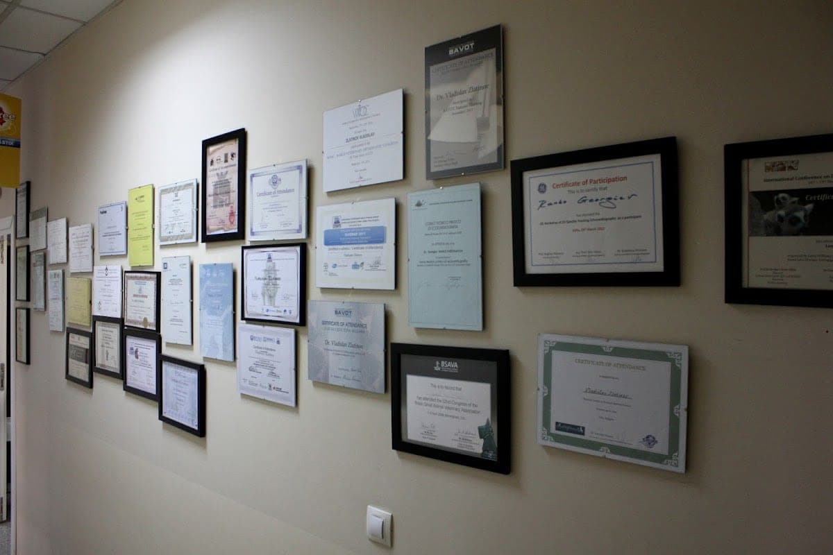 Central Vet Clinic (24h)