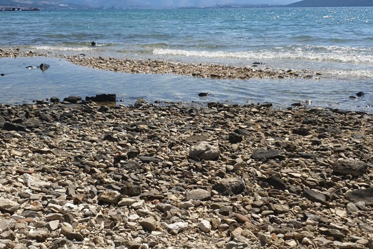 Kaštela Bay Beaches (dog-friendly sections)