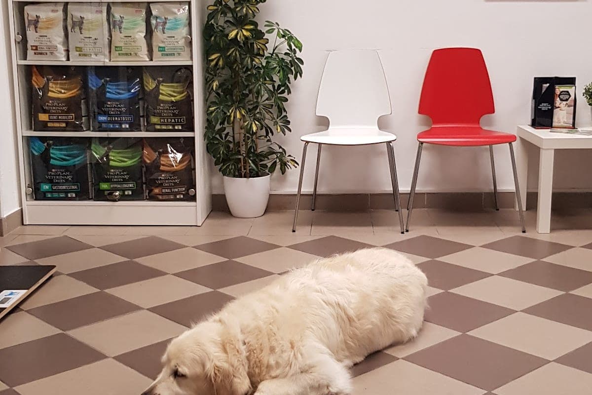 Veterinarska Ambulanta Strmica