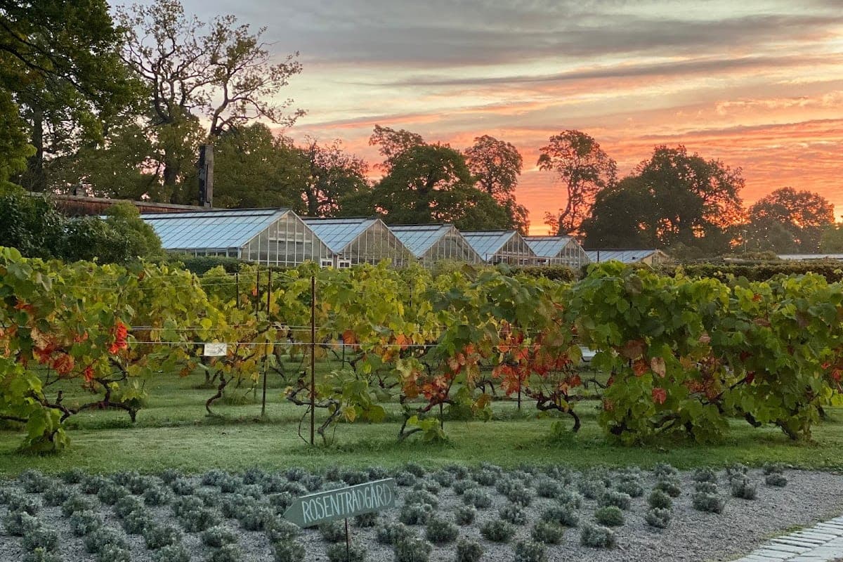 Rosendals Trädgård