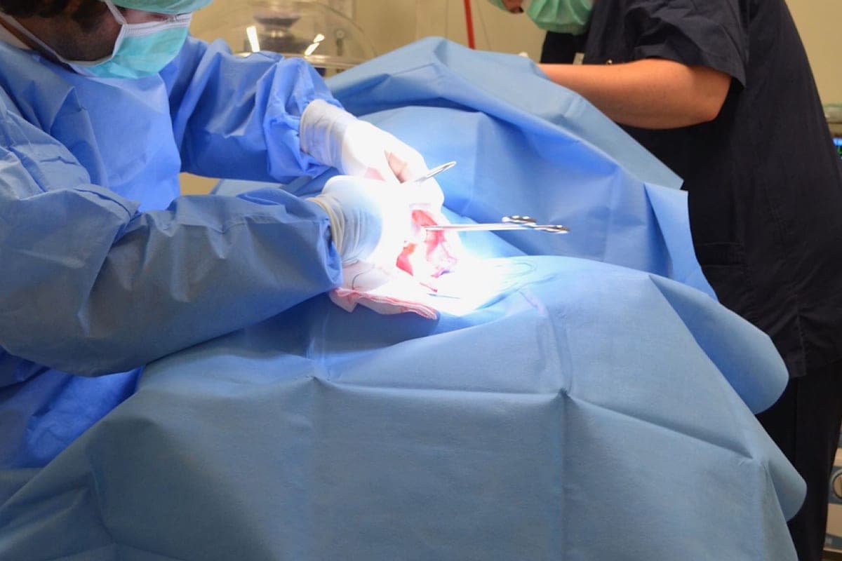 Södermalms Djurklinik