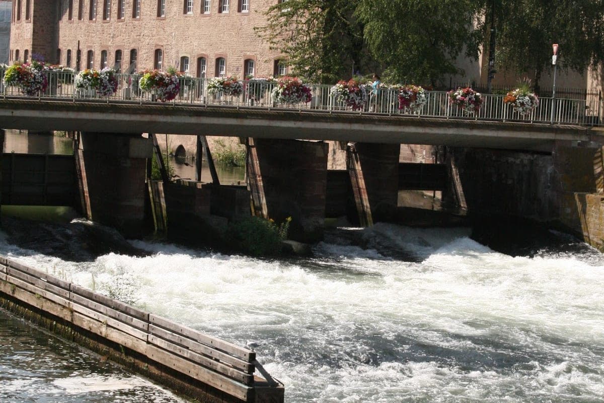Grande Île & Cathédrale Notre-Dame