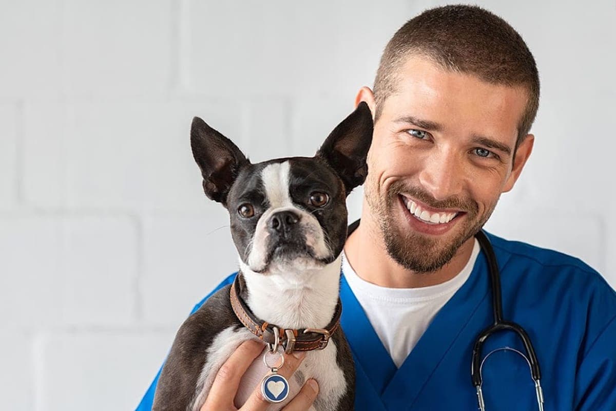 Maison des Urgences Vétérinaires 67