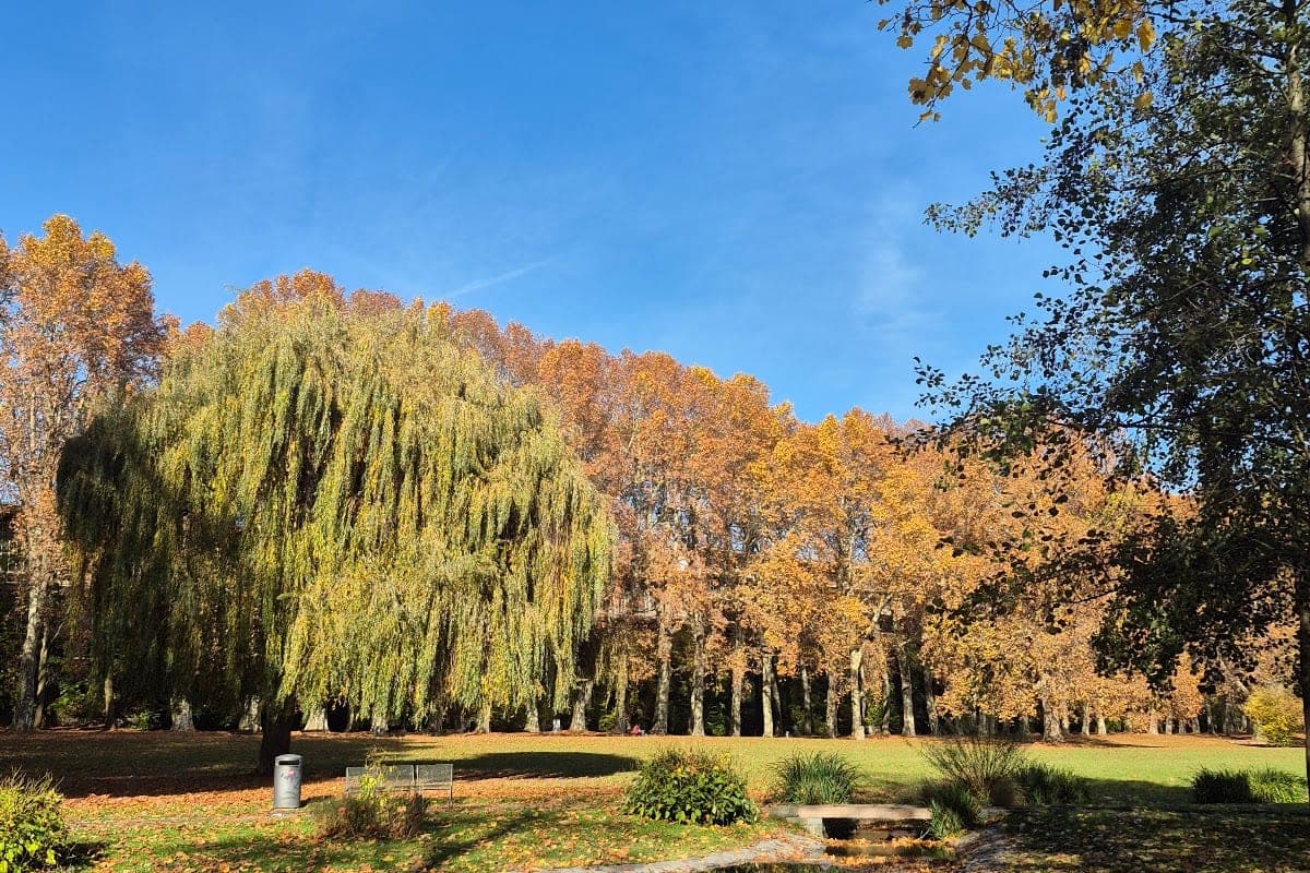 Schlossgarten Hundeauslauf