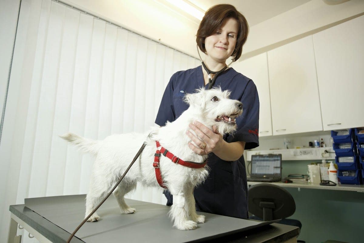 Univet Tampere