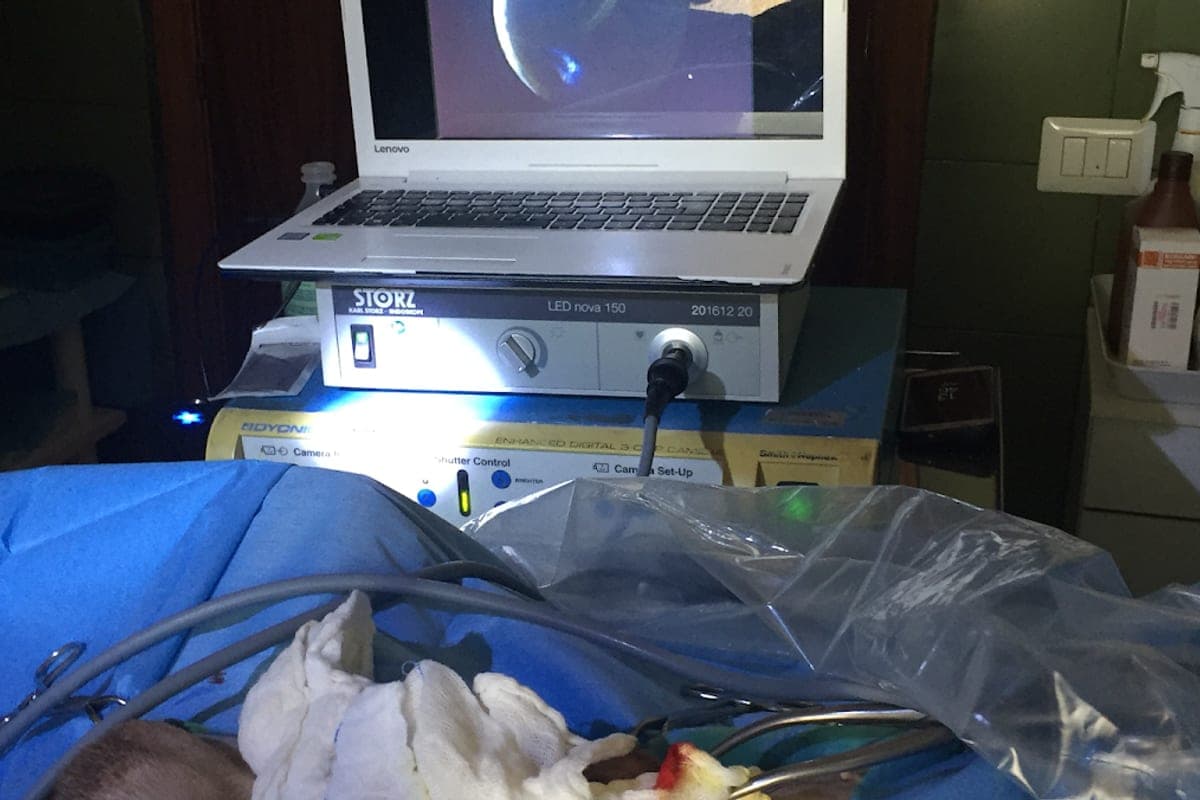 Ambulatorio Veterinario Dott. La Manna