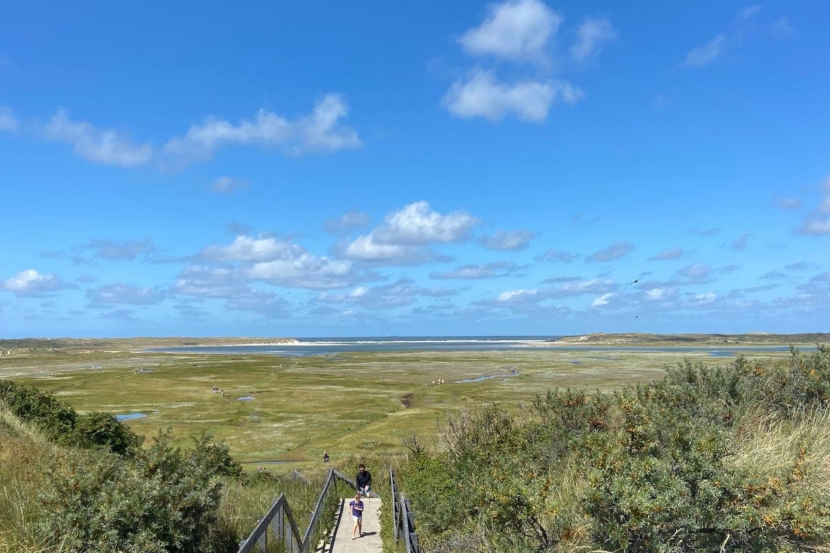 De Slufter salt marsh