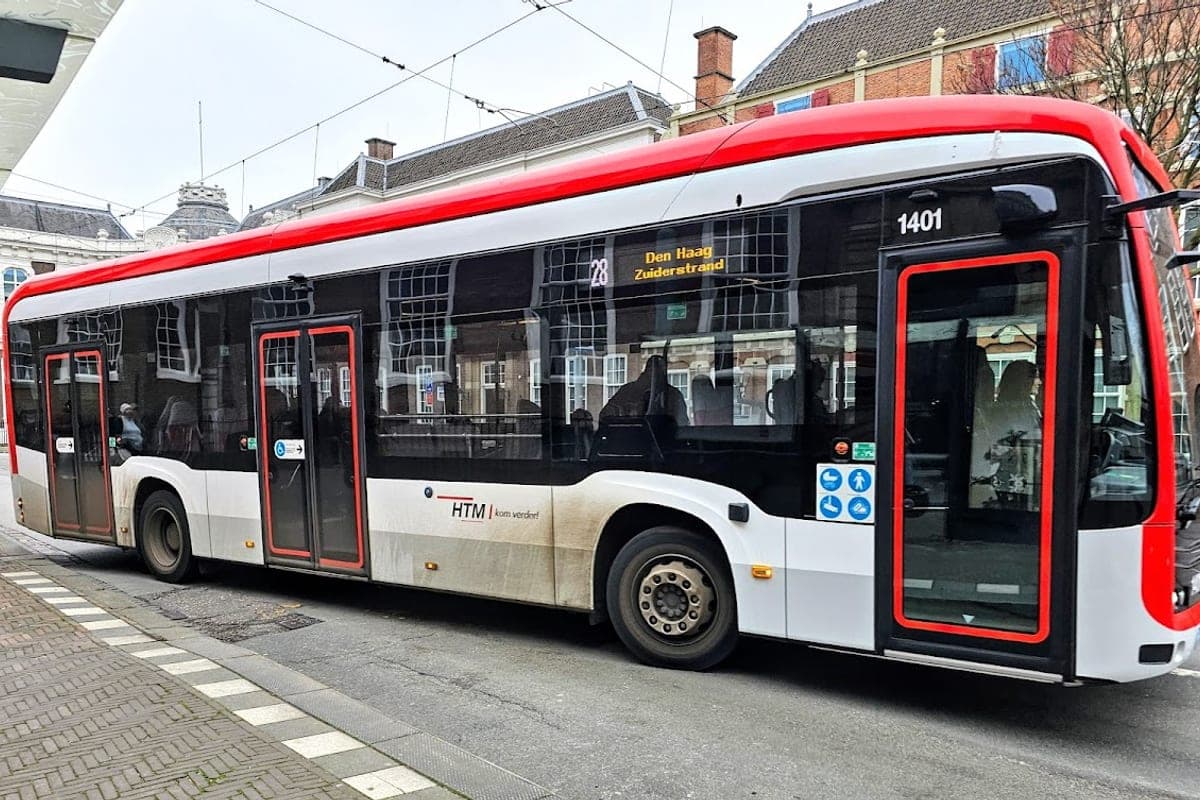 HTM Tram & Bus Network