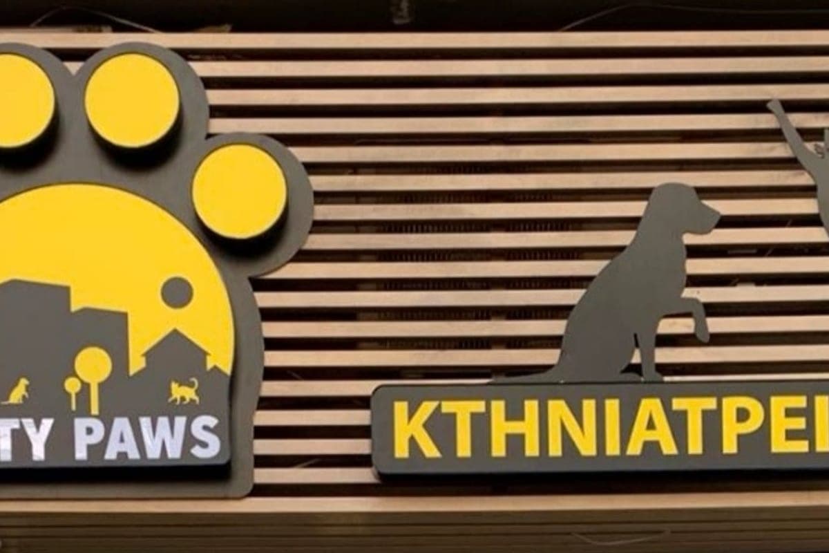 City Paws Veterinary Services