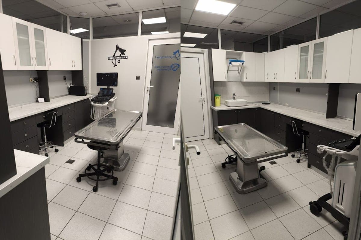 Vetland Animal Clinic