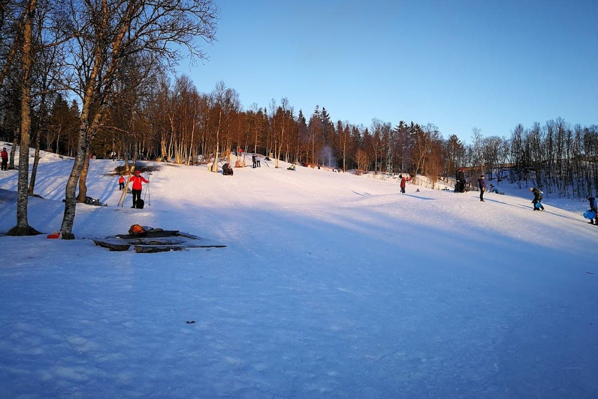 Tromsdalen Forest Trails (Charlottenlund)
