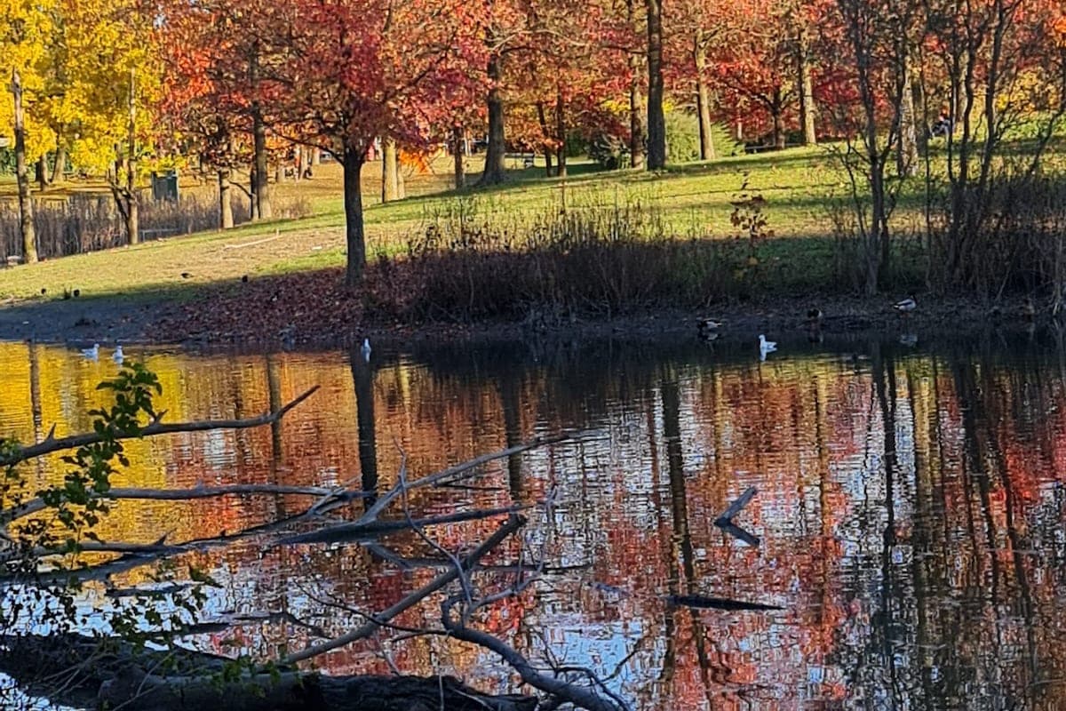 Parco della Pellerina