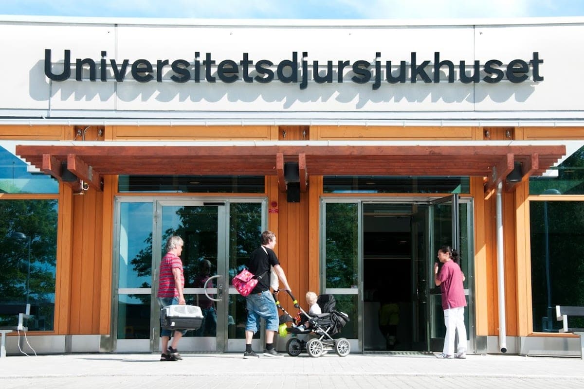 SLU Universitetsdjursjukhuset (UDS)