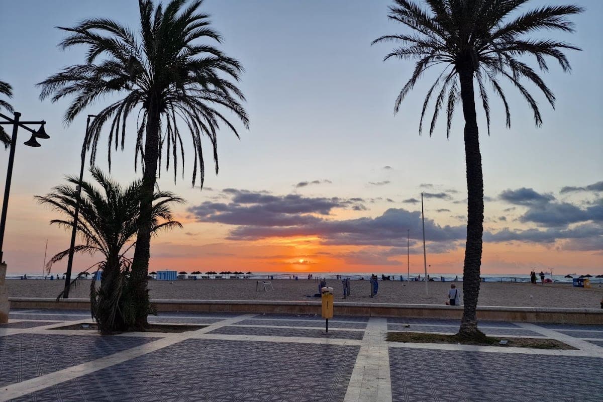 Playa de las Arenas — Northern Dog Section