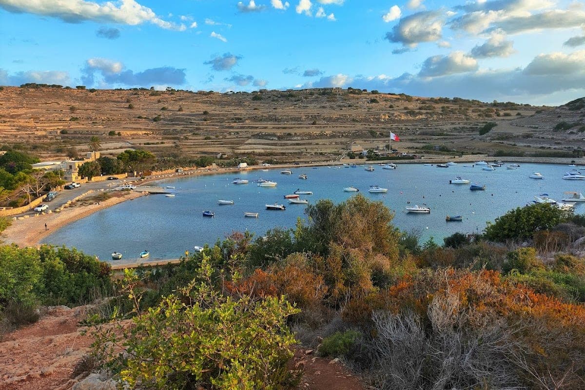 Mistra Bay Dog Beach