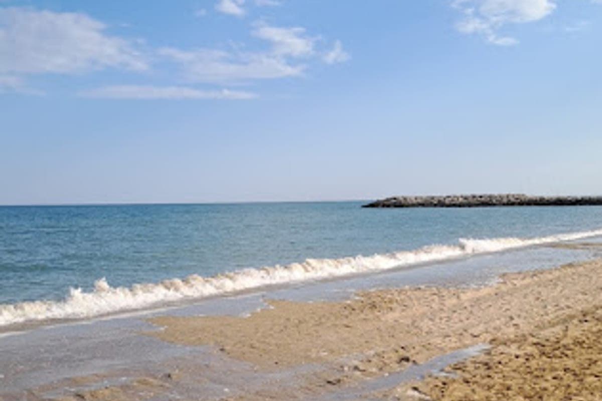 Cavallino-Treporti — Dog Beach