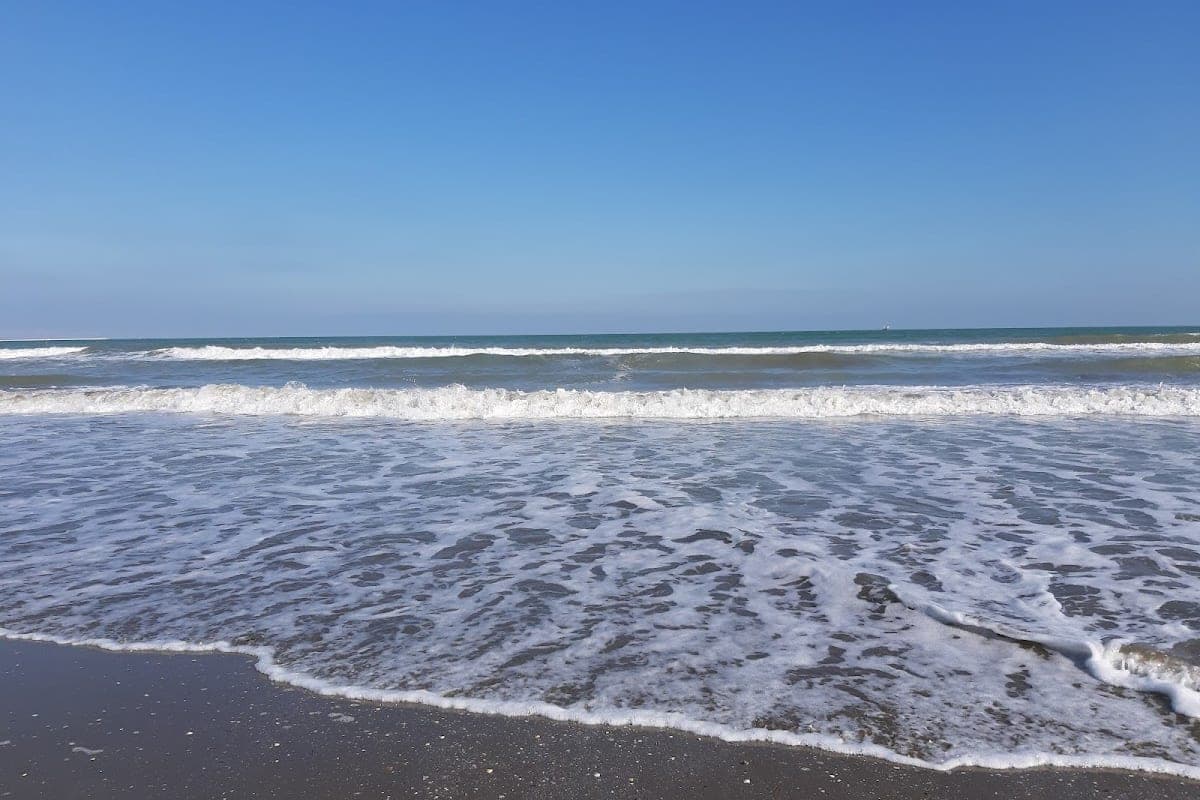 Lido di Venezia — Dog Beach Section (North End)
