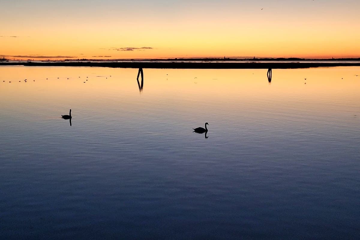 Parco San Giuliano (Mestre Mainland)