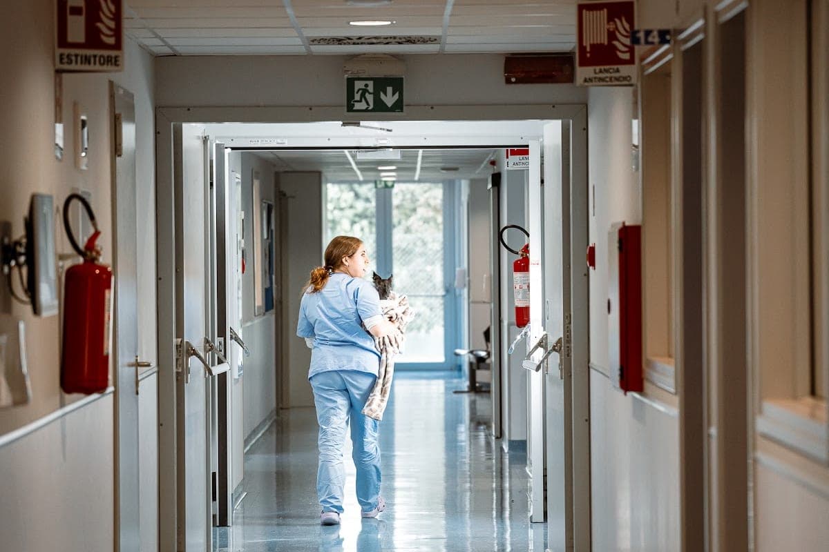 Ambulatorio Veterinario San Marco