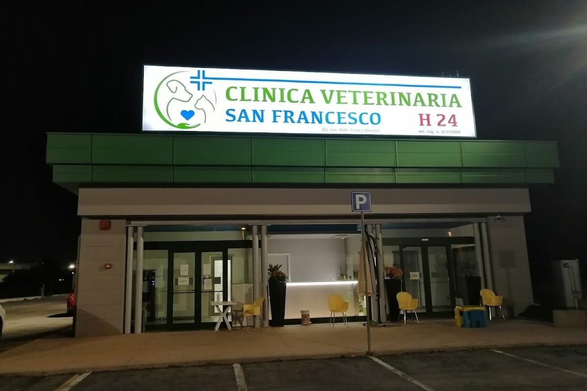 Clinica Veterinaria Mestre