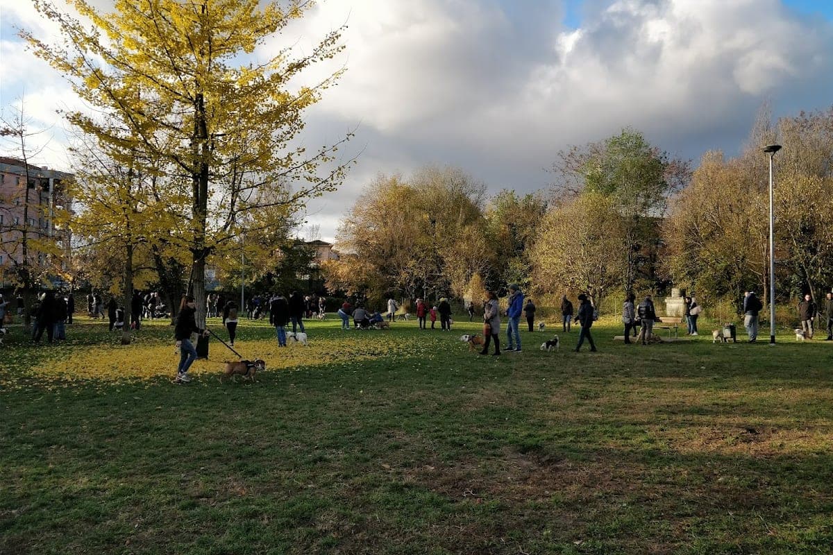 Area Cani Via Andrea Doria