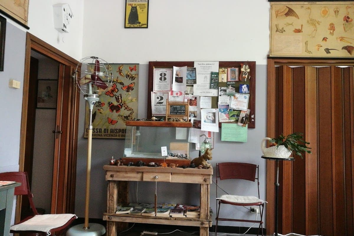 Ambulatorio Veterinario San Zeno