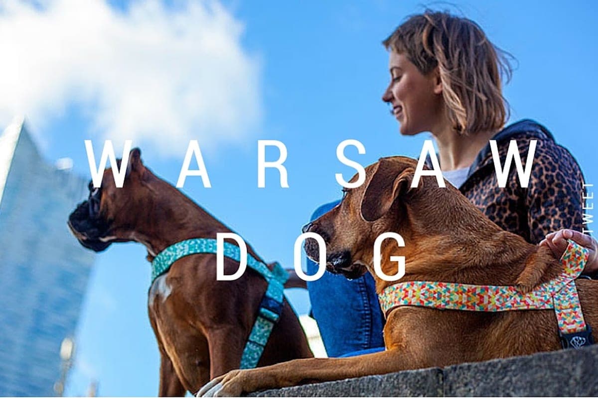 Rover.com / Pawshake Warsaw