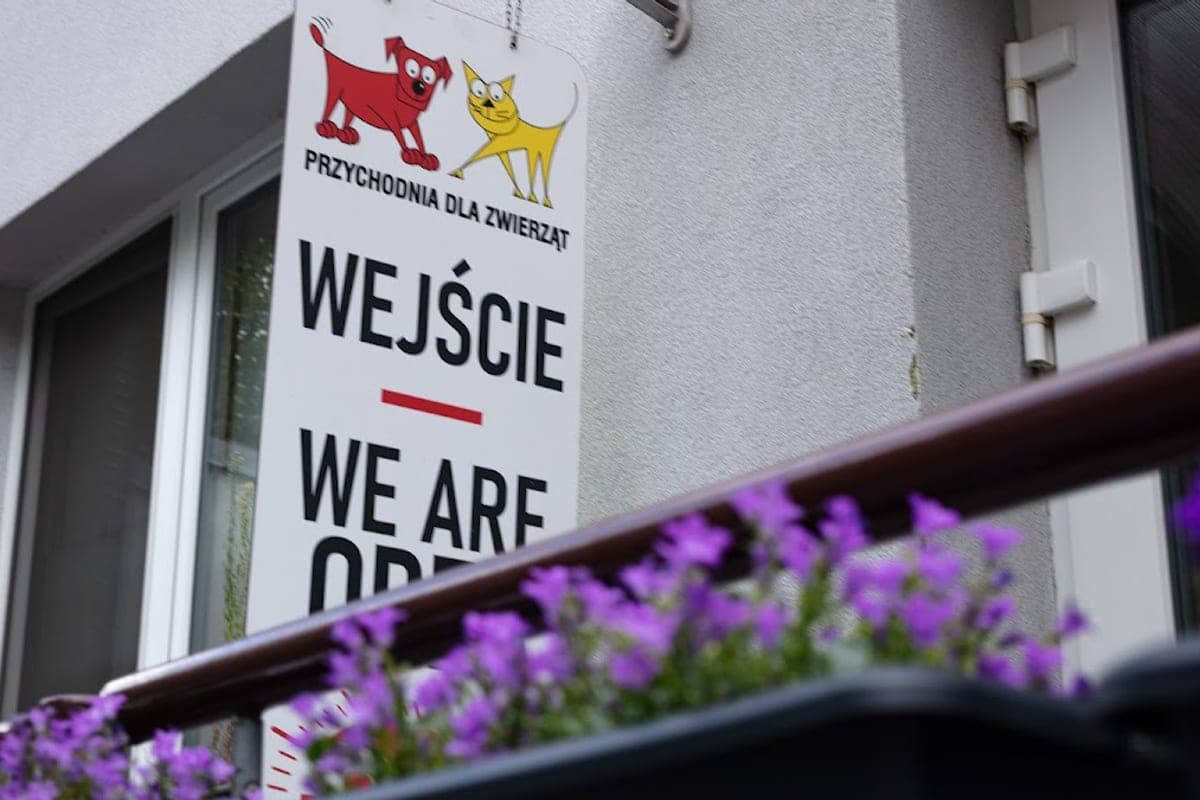 Centrum Weterynaryjne (24h Warsaw)