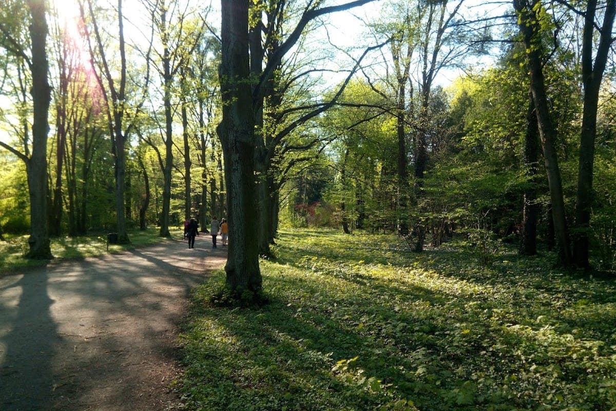 Park Grabiszyński