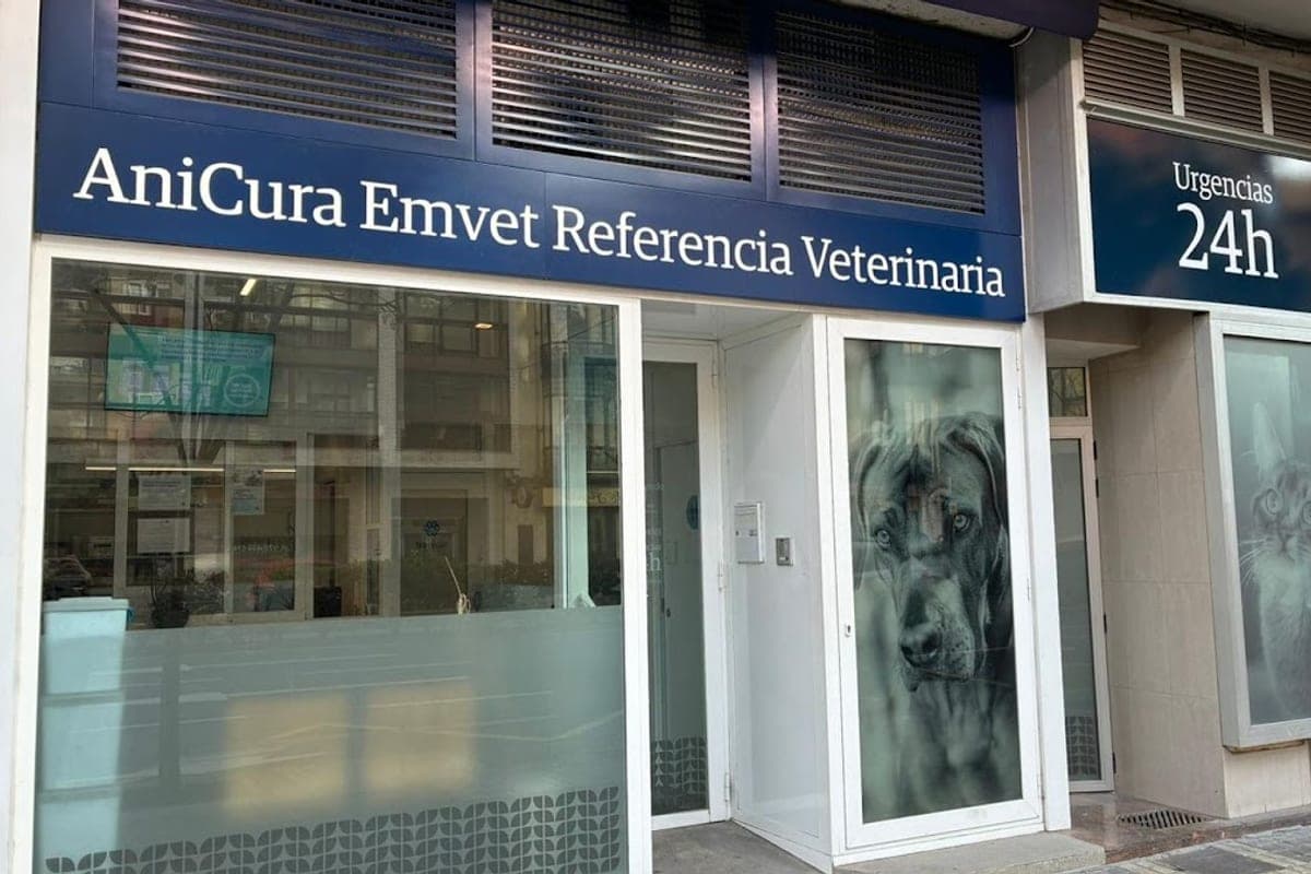 AniCura Emvet Referencia Veterinaria