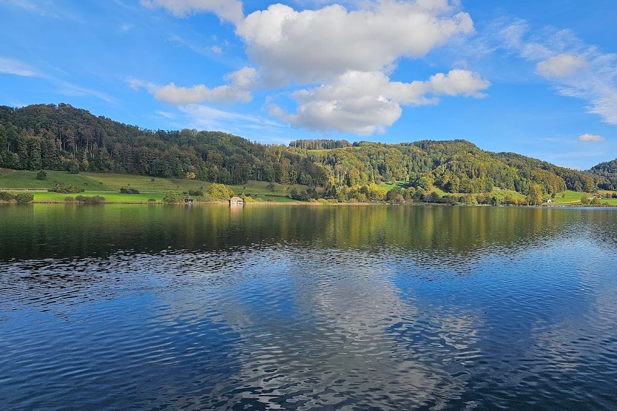 Türlersee