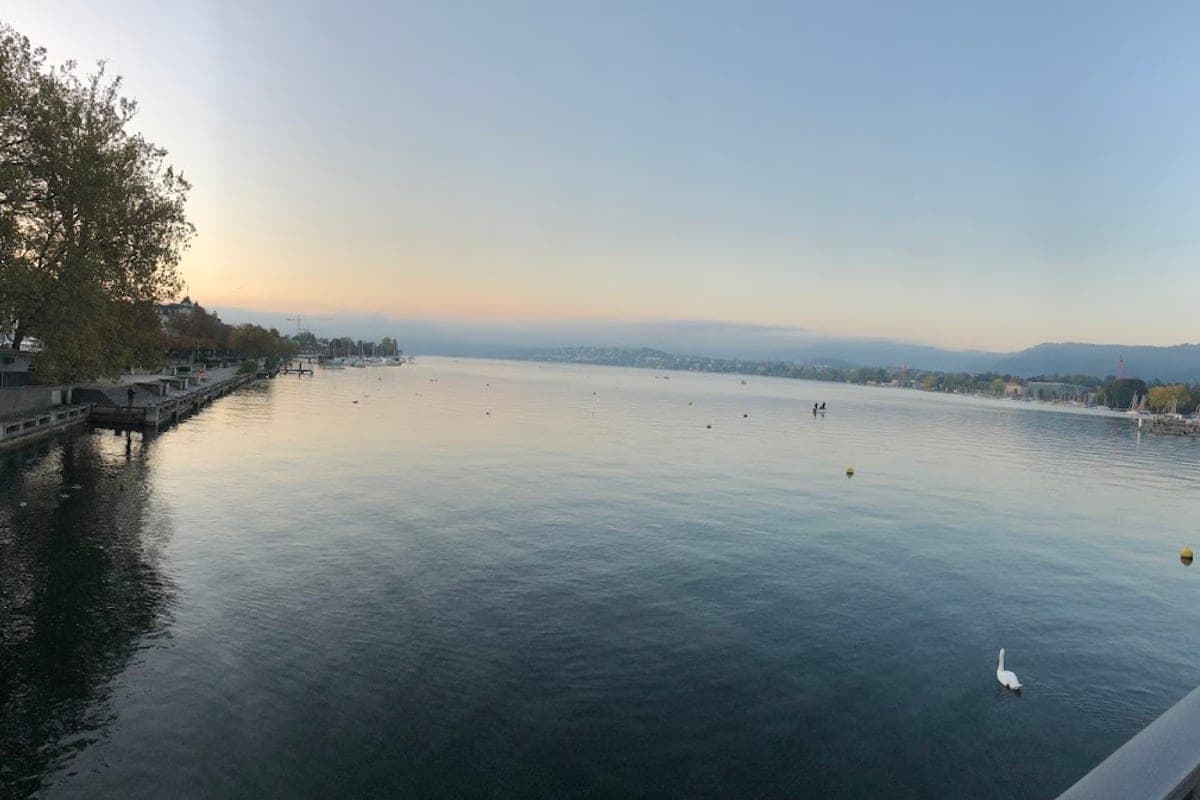 Zürichsee Promenade & Parks