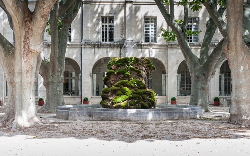 Hôtel Cloître Saint Louis: Cat-friendly hotel in Avignon