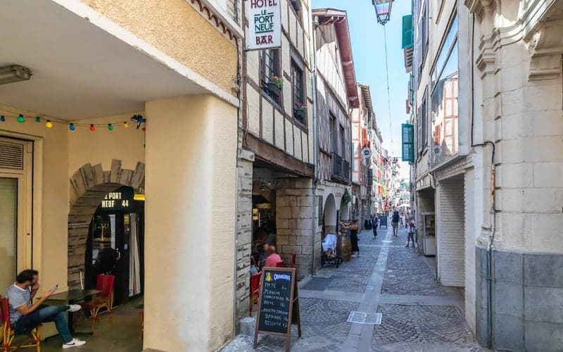 Hotel Le Port Neuf: Cat-friendly hotel in Bayonne