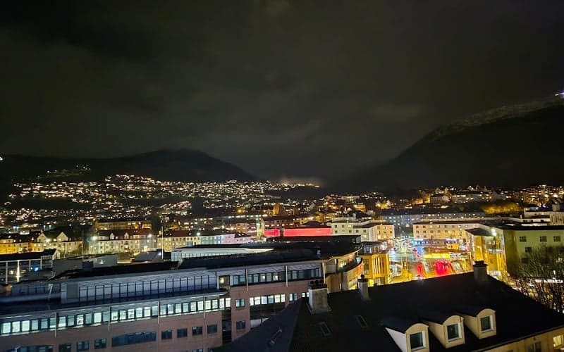 Magic Hotel Solheimsviken: Chats acceptés hotel in Bergen