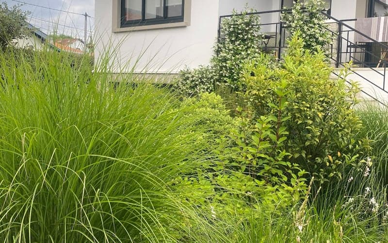 CHAMBRE D'HOTES Villa BIBICHERI