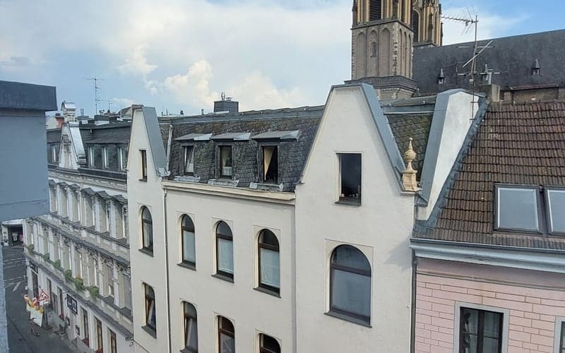 Hotel Deutsches Haus: Cat-friendly hotel in Bonn