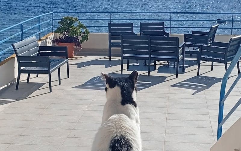 Hotel Calamosca: Dog-friendly hotel in Cagliari