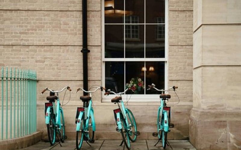 University Arms Cambridge: Cat-friendly hotel in Cambridge