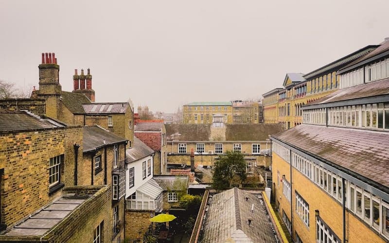 Hotel du Vin Cambridge: Cat-friendly hotel in Cambridge