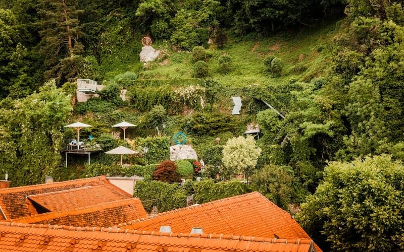 Schlossberghotel — Das Kunsthotel: Cat-friendly hotel in Graz