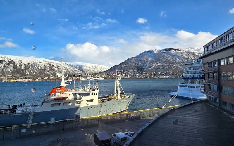 Scandic Ishavshotel: Cat-friendly hotel in Tromso