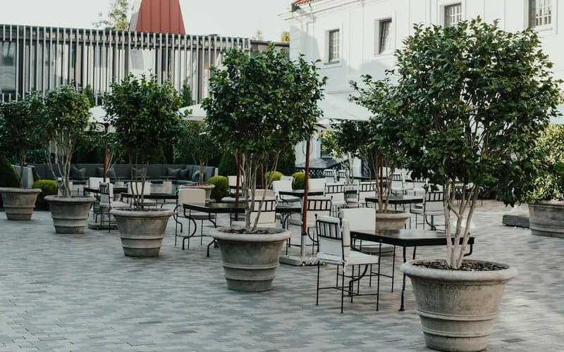 Hotel Pacai, a Member of Design Hotels