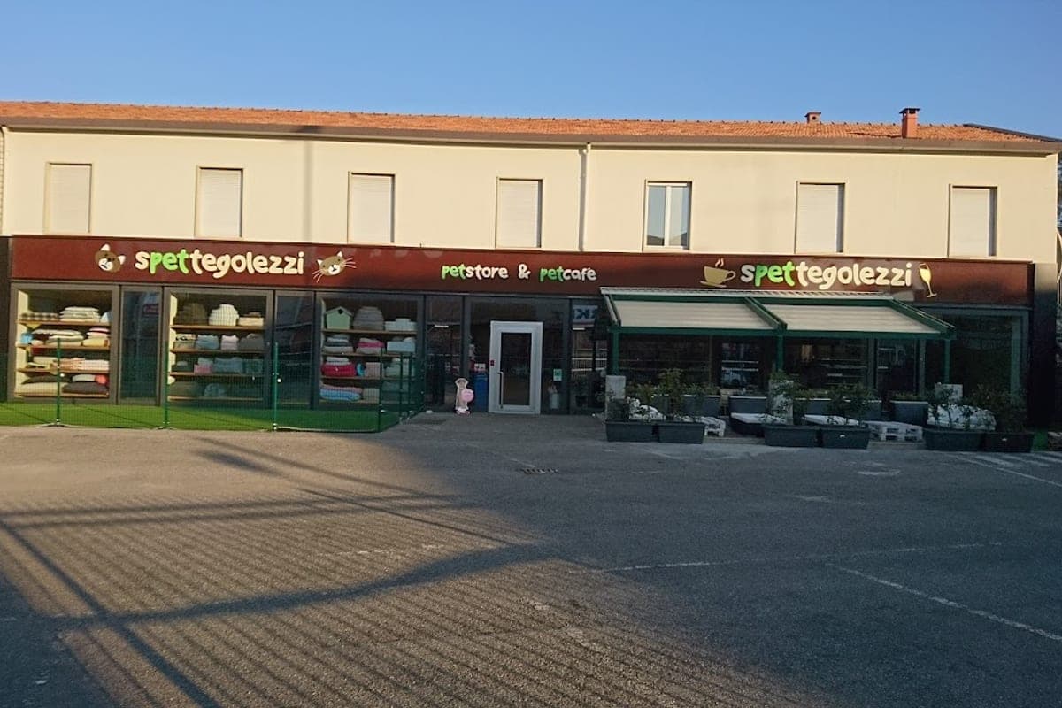 Bergamo Pet Travel Tips