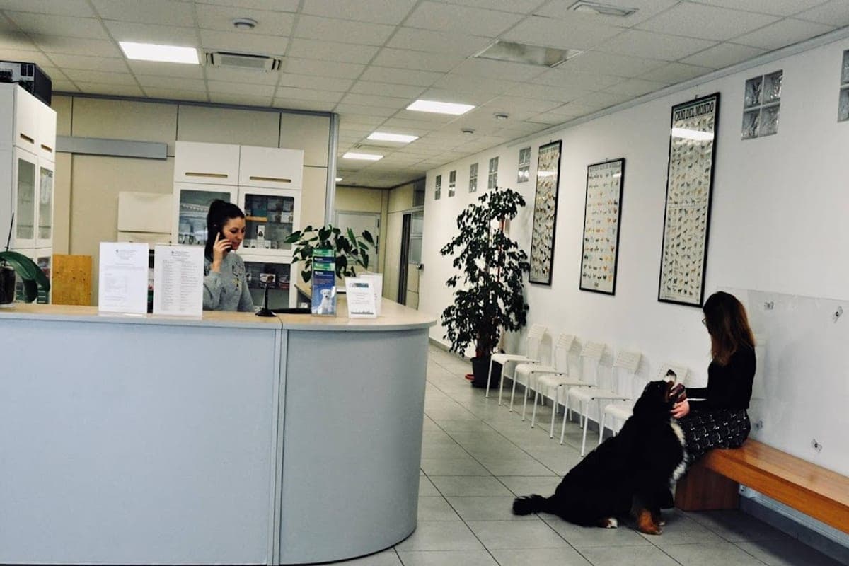 Clinica Veterinaria Città di Bergamo
