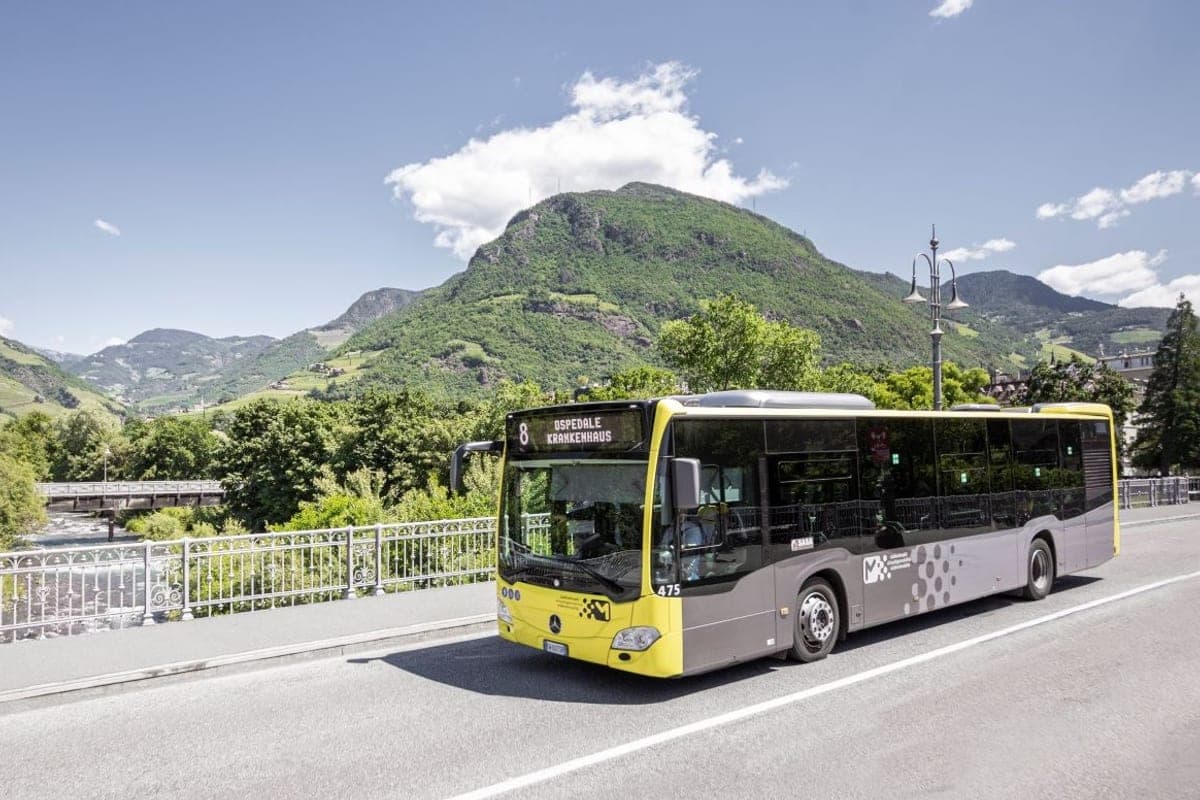SASA Urban Bus Network