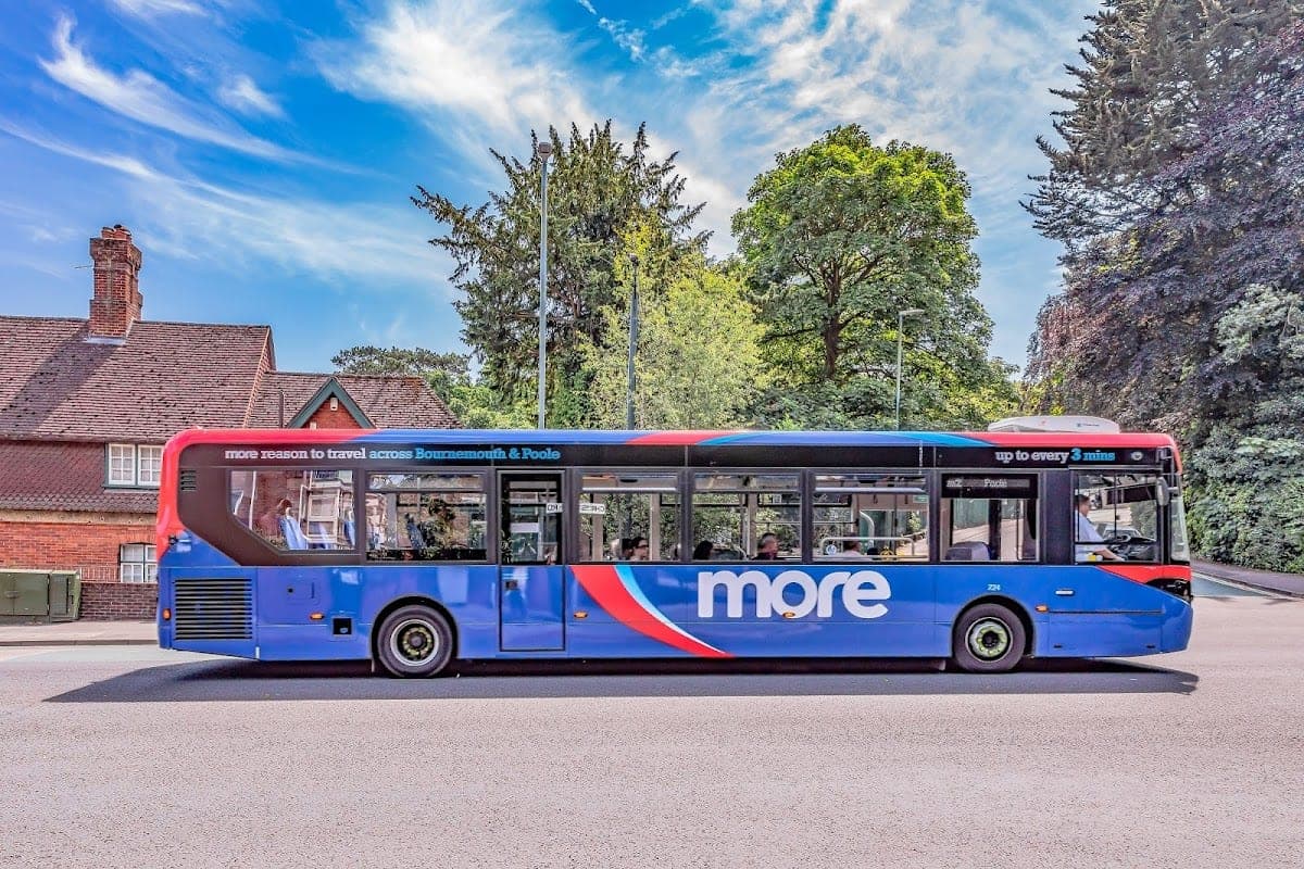 Yellow Buses (m1, m2)