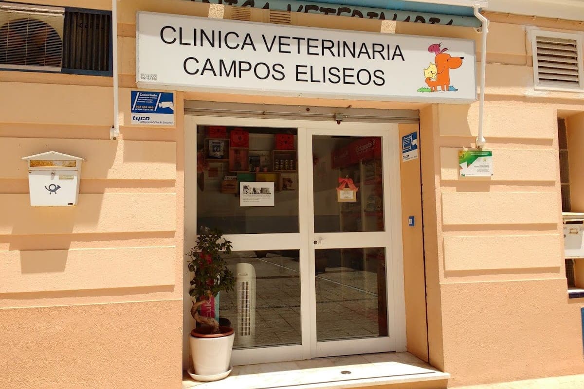 Clinica Veterinaria Campos Eliseos