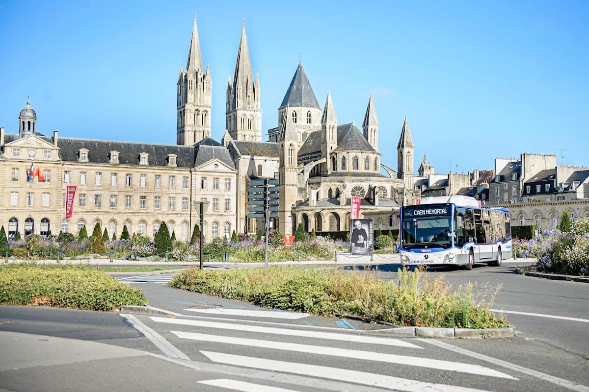 Twisto tram & bus