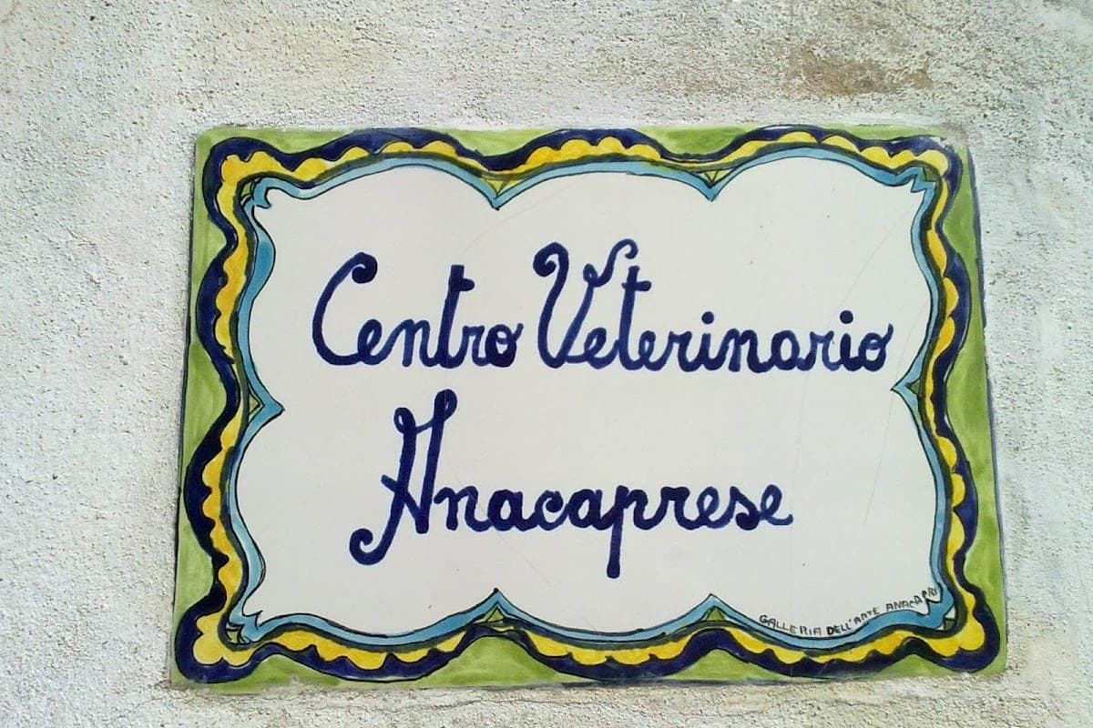 Ambulatorio Veterinario Anacapri